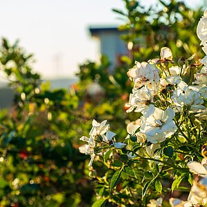 Landwirtschaft erleben