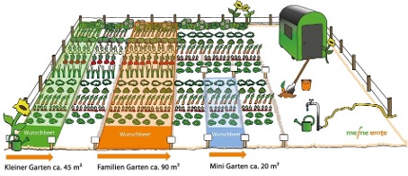Ca. 50 qm Gemüsegarten im Humusland, fertig bepflanzt