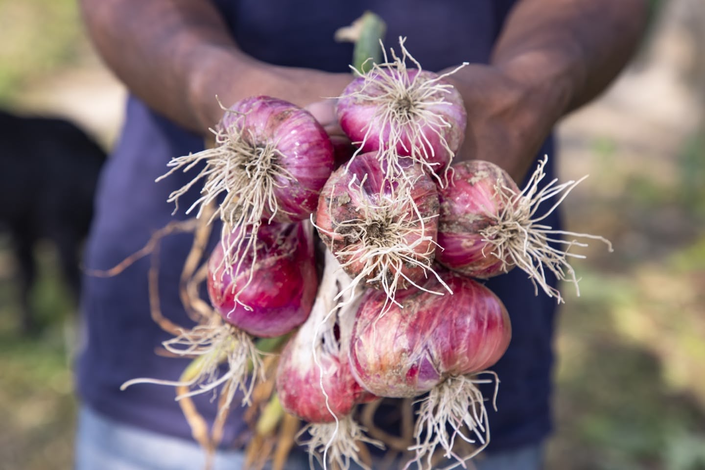 Wasser und Gartengeräte vor Ort, automatische Bewässerung